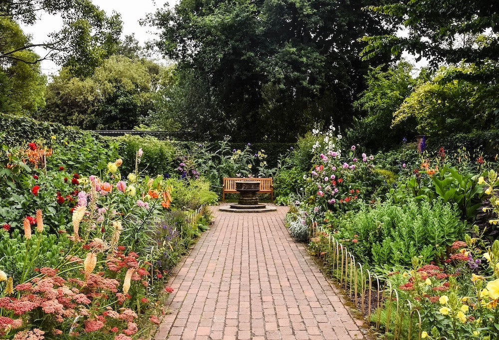 Nützlinge im Garten